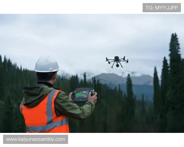 开云网址手机版会员登录流程优化提升用户体验的方法