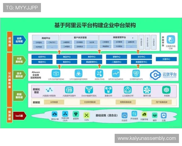 开云集团中国在电商平台的布局与发展前景 开云集团中国在电商平台的布局与发展前景
