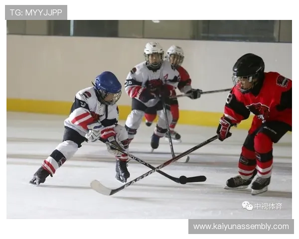 盛世体育真人官方网站分析多样化的体育赛事直播与互动体验优势